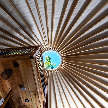 Yourtes Glamping Du Poisson Blanc Notre-Dame-du-Laus 외부 사진